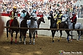 VBS_1118 - Palio di Asti 2024